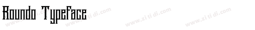 Roundo Typeface字体转换
